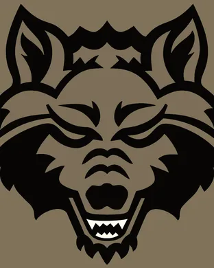 Arkansas State Red Wolves Baseball Springfield