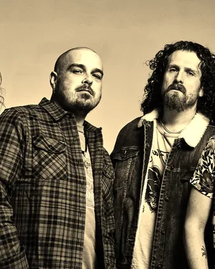 Black Stone Cherry Lampe