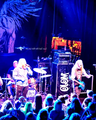 Blacktop Mojo Springfield