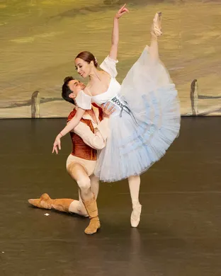 Swan Lake - Symphony of Lights