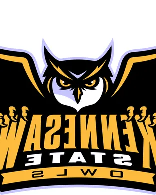Kennesaw State Owls Football Springfield