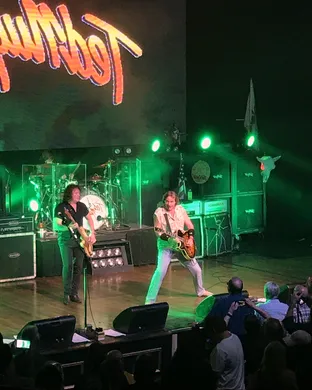 Ted Nugent Lampe